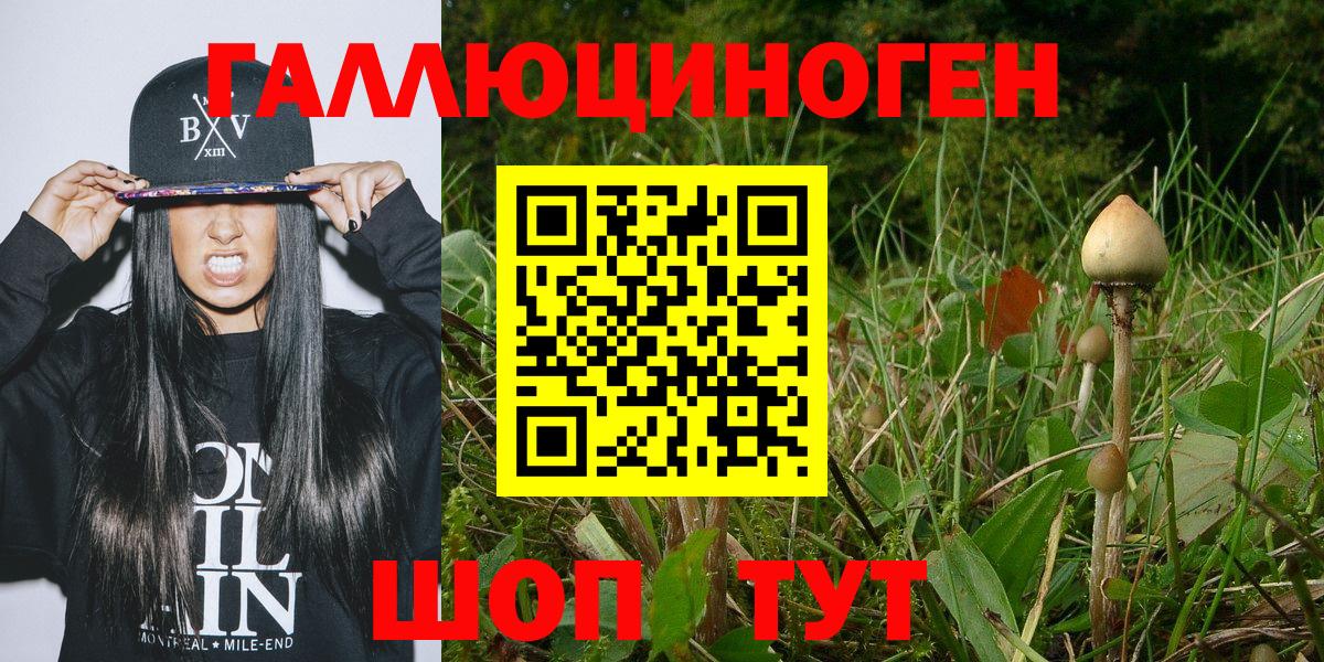 Галлюциногенные грибы мухоморы  Вход с VPN  Елец 